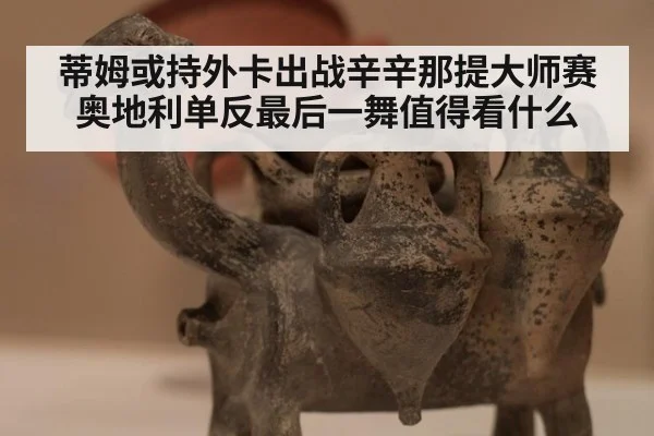 蒂姆或持外卡出战辛辛那提大师赛 奥地利单反最后一舞值得看什么 | kaiyun